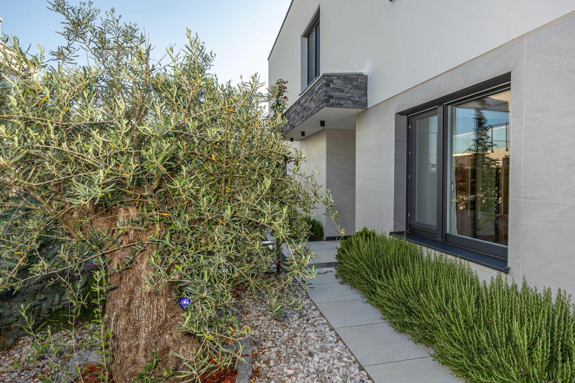 Luxury Villas White Sails Pinezići Dış mekan fotoğraf